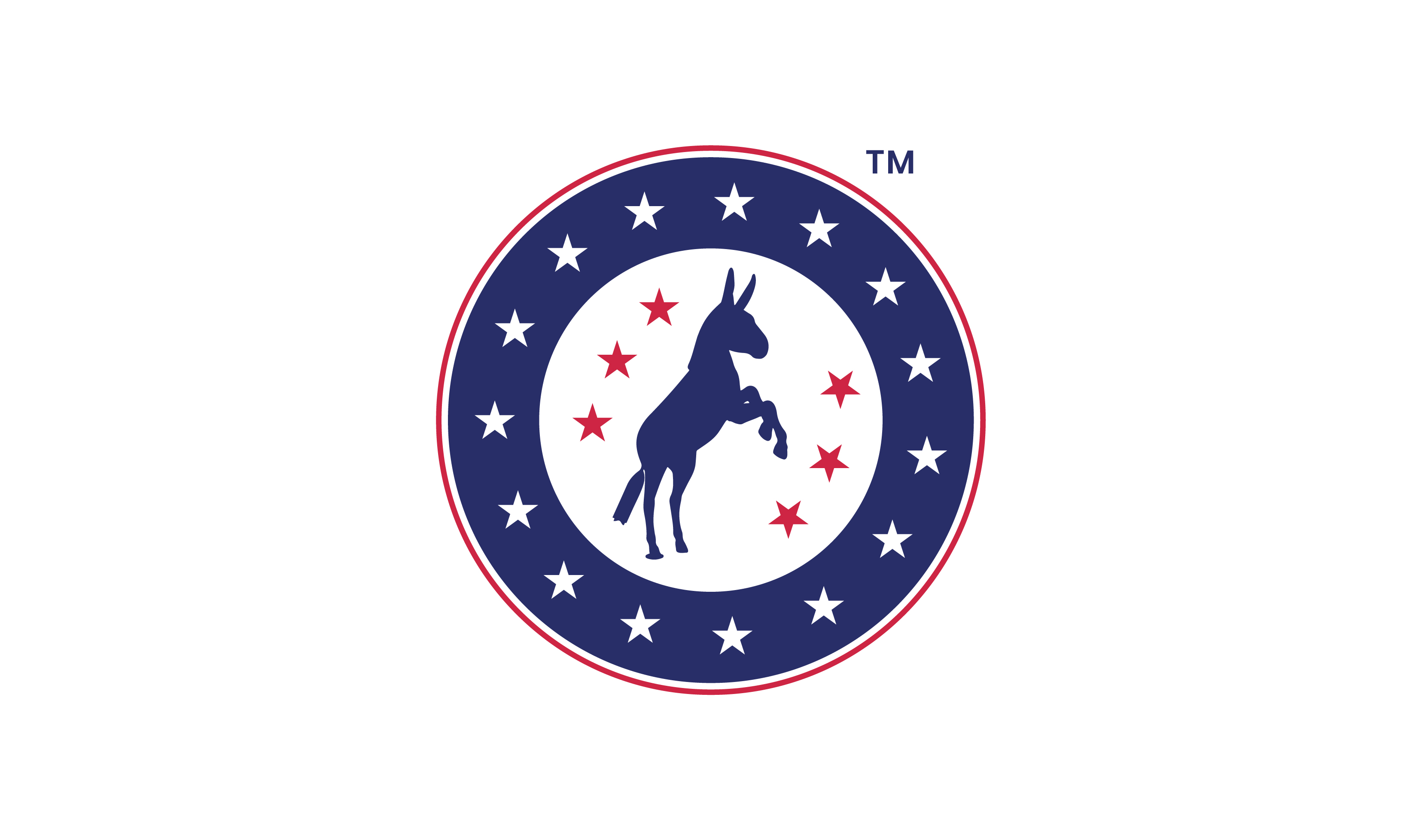 Digital Director